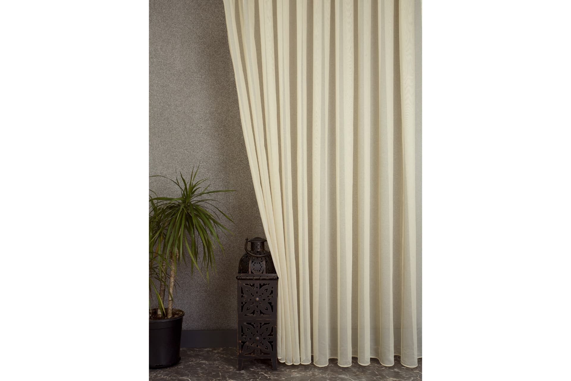 MASSARELLİ ETAMİN TÜL ŞAMPANYA RENGİ  PİLESİZ 200X260